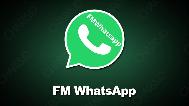 mb whatsapp update download